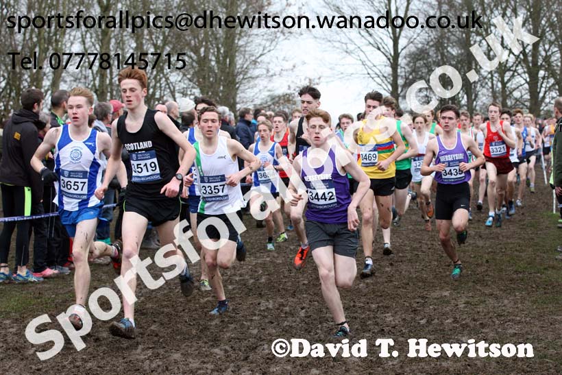 Mens under-17s Inter Counties Cross Country, Prestwold Hall, Loughborough. Photo: David T. Hewitson/Sports for All Pics